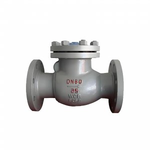 DN50 PN25 介質：甲胺，溫度：80℃止回閥